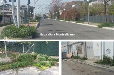 erba alta 