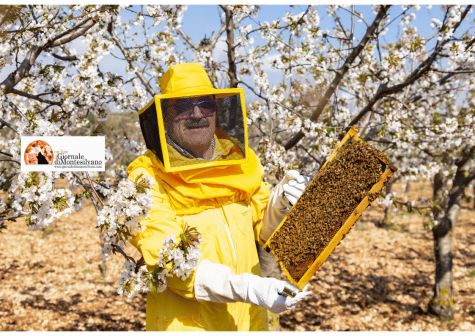 A Parigi tre medaglie d’oro per l’Apicoltura Luca Finocchio