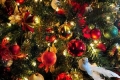 Fossacesia, “Magico Natale 2015”.