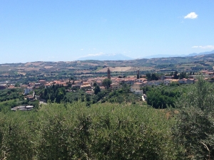 Teramo. Assessore con due stipendi. M5S: “Lucantoni rassegni le dimissioni “