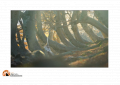 “Ode to Autumn - in Abruzzo”, online il nuovo video di Petrini