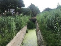 Pescara. Sopralluogo al canale Q10.