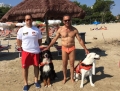 Montesilvano. Mare sicuro con la Scuola Italiana Cani di Salvataggio