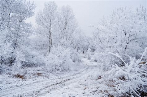 Abruzzo, temperature sotto lo zero.