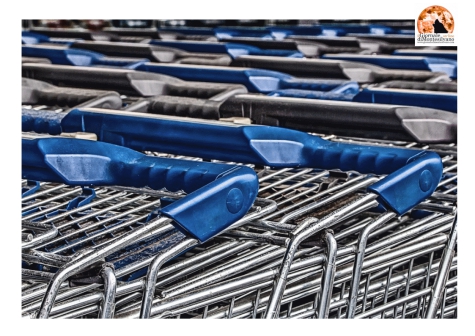 Megalò. Wwf: "costruzioni senza titolo vanno smantellate"