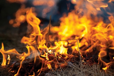 Abruzzo/incendi. Oggi 89 comuni su 305 in fiamme