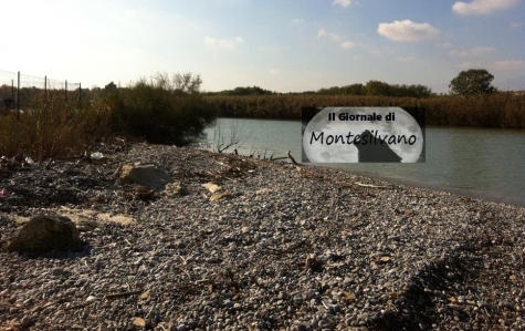 fiume Saline