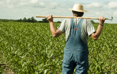 Abruzzo.Arrivano gli Oscar dell'agricoltore