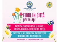 L'Aquila, fiori in città per le api, gli impollinatori.