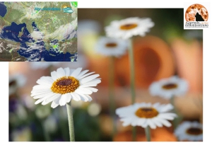 Venerdì nuvoloso senza produrre fenomeni.