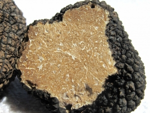 Campovalano, tartufo e necropoli