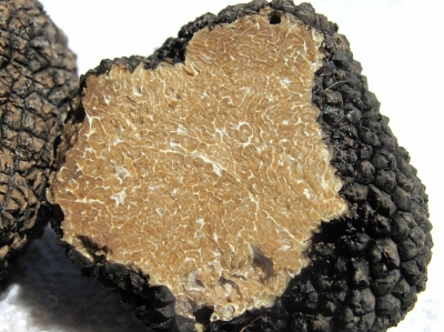 Campovalano, tartufo e necropoli