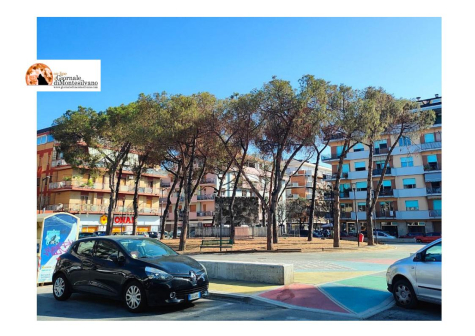 Pescara. Emergenza Cocciniglia Toumeyella Parvicornis