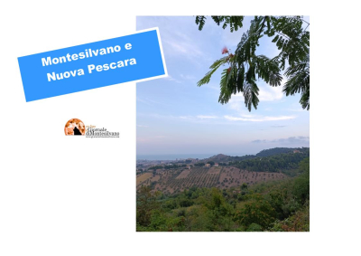 "Verità oltre gli slogan". Comitato Montesilvano per Nuova Pescara chiede accesso agli atti.