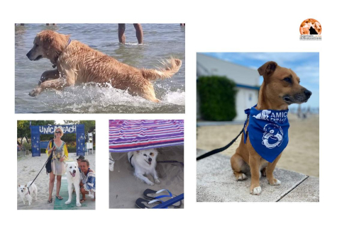 Giulianova, "spiaggia per cani non si tocca". Branella: "dovranno passare sul mio cadavere".