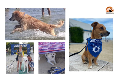 Giulianova, "spiaggia per cani non si tocca". Branella: "dovranno passare sul mio cadavere".