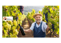 “Viticoltura presente e futuro”, dibattito a Orsogna sulle prospettive del settore