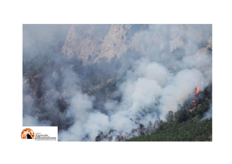 Morrone in fiamme, il presidente di Enbital, Provino: “Serve un'azione rigorosa preventiva”