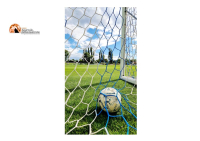 Calcio/Gioco e scommesse, controlli e sanzioni sul territorio italiano