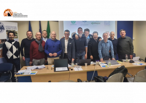 Superbonus e riqualificazione energetica, "Rischio paralisi se non si interviene"