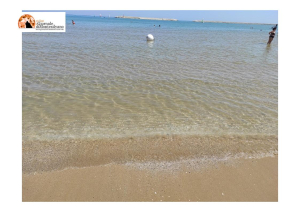 Mucillagine, subito indennizzi ai pescatori abruzzesi in difficoltà