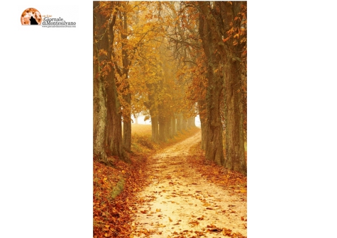 Crecchio. Foliage d'Abruzzo. Vini, sapori e colori del territorio