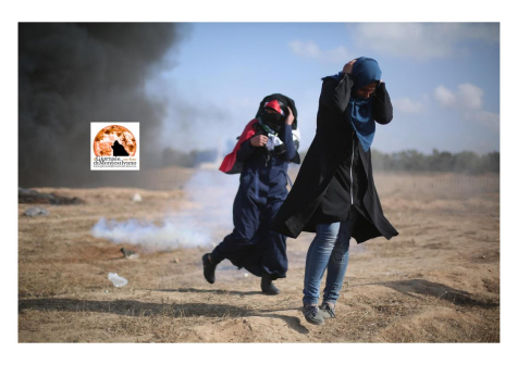 Meloni: 'Controproducente riconoscere ora lo Stato di Palestina'