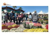 Piante, fiori e meraviglie botaniche: torna a Pescara la Mostra del Fiore-Florviva