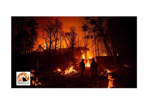 Los Angeles. Incendio, almeno 5 morti, distrutti 27.000 acri, 1.000 strutture