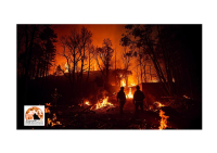Los Angeles. Incendio, almeno 5 morti, distrutti 27.000 acri, 1.000 strutture