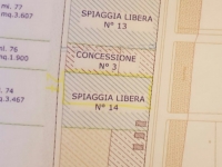 Giulianova/spiagge. Al mare con il proprio amico a 4 zampe.
