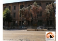 Pescara, recupero ex Fea, cittadini favorevoli, contrari a strumentalizzazione dell'arte per speculazione privata