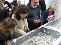 Pescara, mostra speciale di ceramica abruzzese