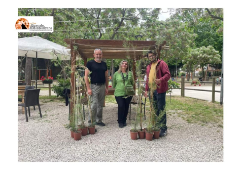 Montesilvano/Festa degli alberi, Green Party al Parco della Libertà con Sogni e Percorsi.