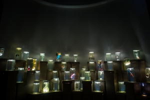 "Monere: sono solo mostri", installazioni artistiche a Pescara