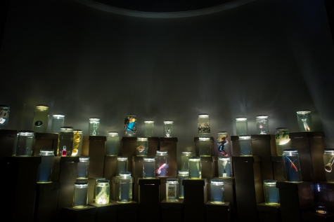 "Monere: sono solo mostri", installazioni artistiche a Pescara