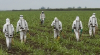 UE vieta l'uso del pesticida glifosato