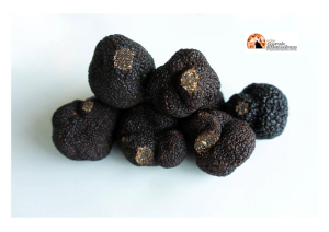 Fiera tartufi d’Abruzzo: "ogni euro investito sul tartufo sono 20 euro di turismo"