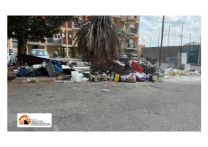 foto tratta del report di Di Pillo di 70 scatti