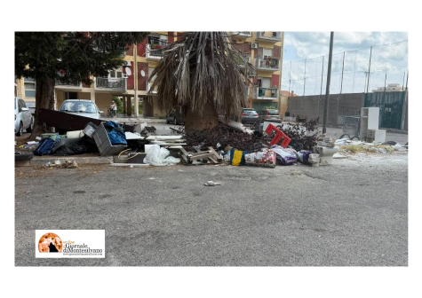 foto tratta del report di Di Pillo di 70 scatti