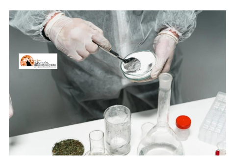 Sulmona, arresto per spaccio di cocaina