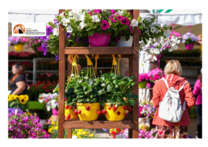 La Mostra del Fiore-Florviva 2025 apre i cancelli: la natura in festa al Marina di Pescara