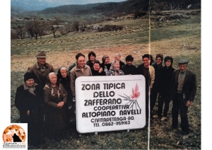 Zafferano. La Coop. Altopiano di Navelli compie 50 anni!