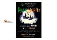 Teramo/“Rozzigwarts”, viaggio alla scoperta del mondo di Harry Potter
