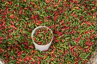 WWF lancia gli ecotips, palinsesto naturale e culturale