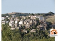 Bolognano, cinghiali danneggiano il borgo. Interviene squadra specializzata.