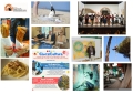 Cosa fare in Abruzzo? Eventi della settimana dal 26 maggio al 29 Maggio