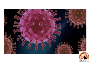 Pescara/Covid. Piano vaccinazioni-ASL: le richieste del sindaco Masci