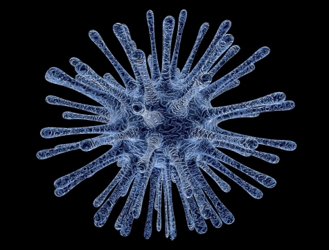 Caso sospetto di Coronavirus a Roseto. Sindaco Costantini: calma