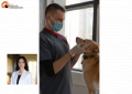 Bucchianico, da tre anni senza ambulatorio veterinario. Stella chiede di ripristinare il servizio
